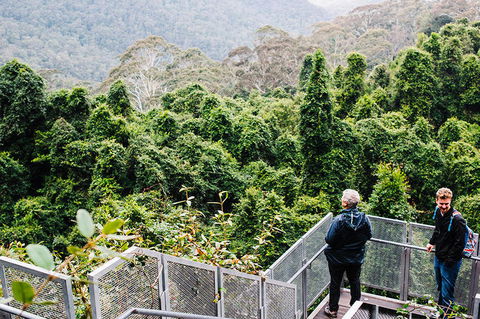 All-Inclusive Blue Mountains Day Trip With River Cruise - Accommodation Kalgoorlie 2