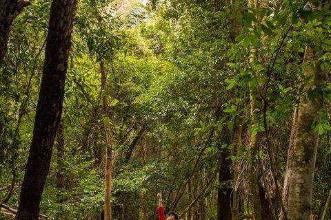 All-Inclusive Blue Mountains Day Trip With River Cruise - Accommodation Kalgoorlie 26