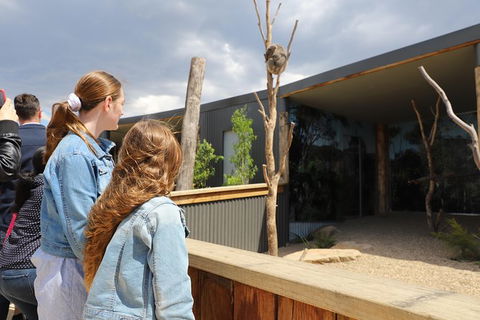 All-Inclusive Blue Mountains Day Trip With River Cruise - Accommodation Kalgoorlie 23