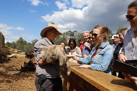 All-Inclusive Blue Mountains Day Trip With River Cruise - Accommodation Kalgoorlie 27