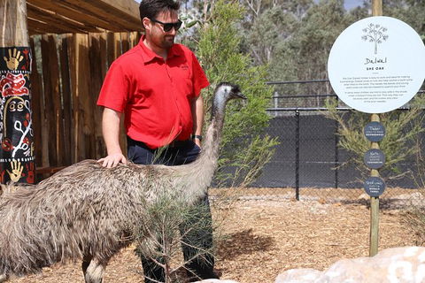 All-Inclusive Blue Mountains Day Trip With River Cruise - Accommodation Kalgoorlie 24
