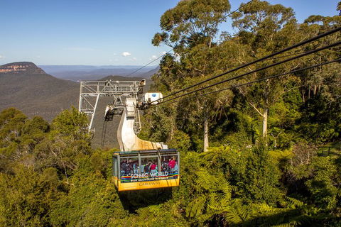 All-Inclusive Blue Mountains Day Trip With River Cruise - Accommodation Kalgoorlie 39