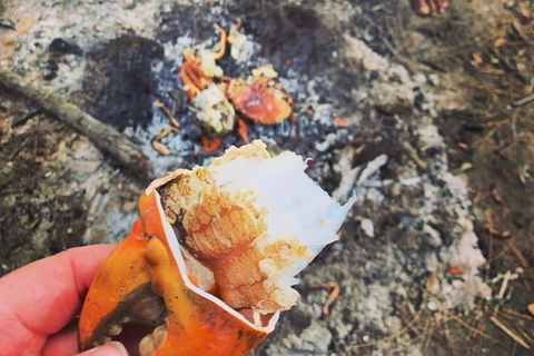 Pot To Plate Adventure - Accommodation Kalgoorlie 4