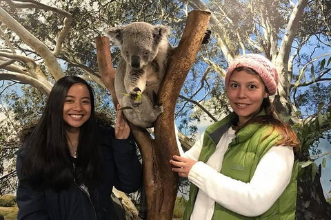 Australia Multi-City Attractions Pass - Accommodation Kalgoorlie 2