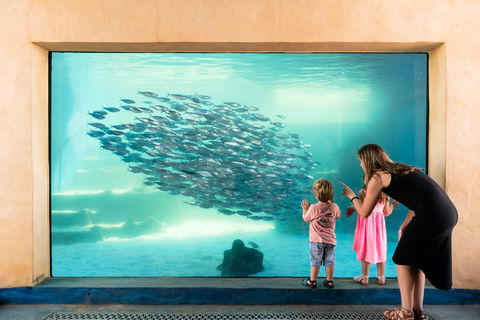 AQWA The Aquarium Of Western Australia - Accommodation Kalgoorlie 0