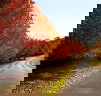 Charles Sturt University Winery - Accommodation Kalgoorlie