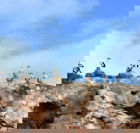 Dirk Hartog Island National Park - Accommodation Kalgoorlie