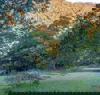 Griffins walking track - Accommodation Kalgoorlie