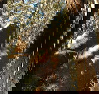 Gulaga National Park - Accommodation Kalgoorlie