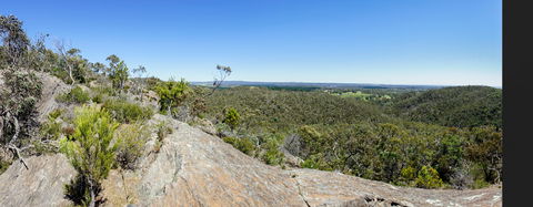 Hale Conservation Park - Accommodation Kalgoorlie 0