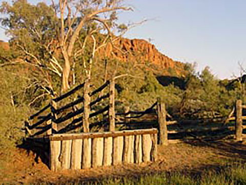 Illamurta Springs Conservation Reserve - Accommodation Kalgoorlie 0
