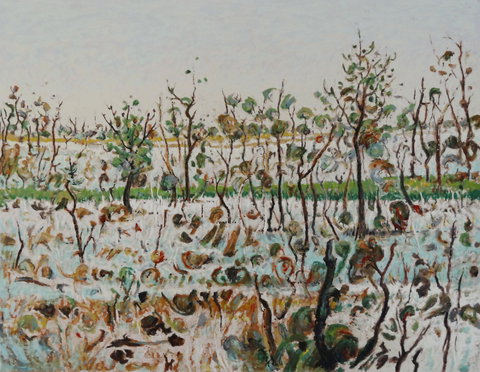 Kiama Art Gallery - Accommodation Kalgoorlie 1