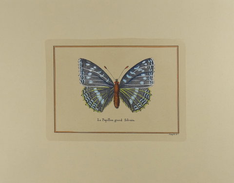 Kiama Art Gallery - Accommodation Kalgoorlie 2