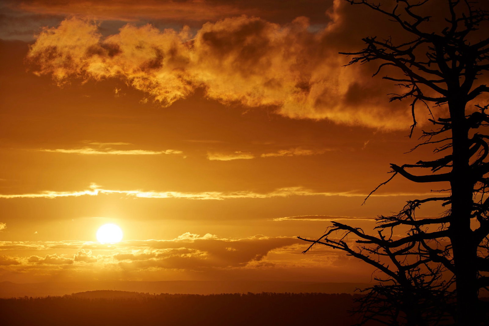 Kinglake Central VIC Accommodation Kalgoorlie