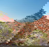 Lark Quarry Conservation Park - Accommodation Kalgoorlie