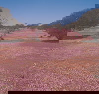 Meekatharra - Accommodation Kalgoorlie