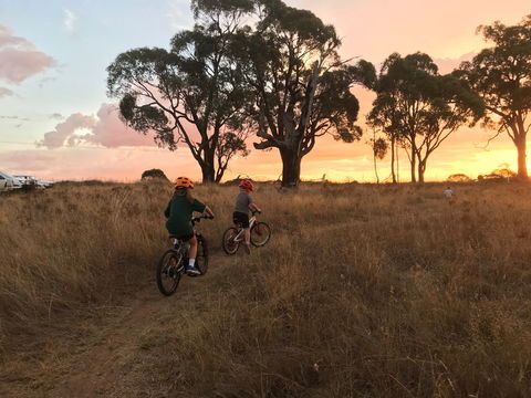 Mountain Bike Trails Tumbarumba - Accommodation Kalgoorlie 2