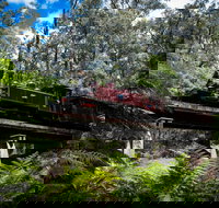 Puffing Billy Railway - Accommodation Kalgoorlie