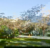 Red Cedar Flat Picnic Area - Accommodation Kalgoorlie