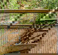 Somersby Falls walking track