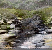 Thredbo River Track - Accommodation Kalgoorlie