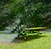Williams River picnic area - Accommodation Kalgoorlie