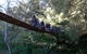 Abercrombie Caves - thumb 1