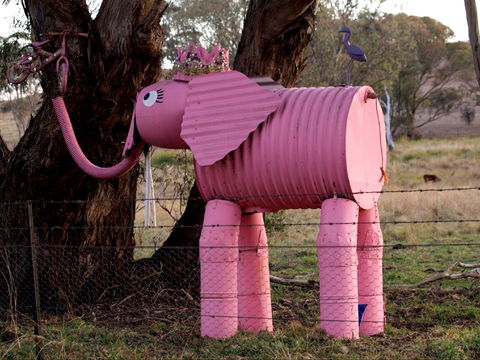 Animals On Bikes - Accommodation Kalgoorlie 0