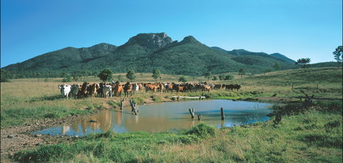 Bundaberg- Biggenden- Mount Perry Circle - Accommodation Kalgoorlie 0
