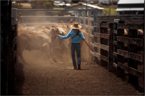 Bundaberg- Biggenden- Mount Perry Circle - Accommodation Kalgoorlie 1