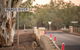 Eulo Town Hole - thumb 1