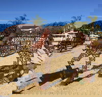 Gundersen Reserve - Accommodation Kalgoorlie