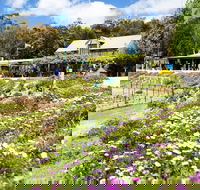 Kate's Berry Farm - Accommodation Kalgoorlie