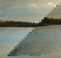 Lake Inverell Reserve - Accommodation Kalgoorlie