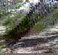 Lanky's Walk - Accommodation Kalgoorlie