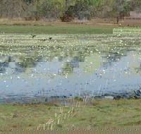 Leaning Tree Lagoon Nature Park - Accommodation Kalgoorlie