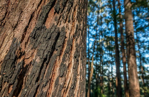 Muirs Lookout - Accommodation Kalgoorlie 0