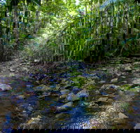 Nambucca Valley