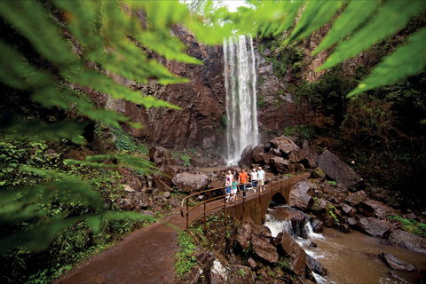 Queen Mary Falls Circuit, Main Range National Park - Accommodation Kalgoorlie 0