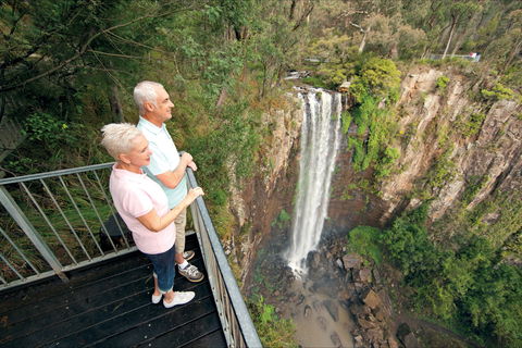 Queen Mary Falls Circuit, Main Range National Park - Accommodation Kalgoorlie 1
