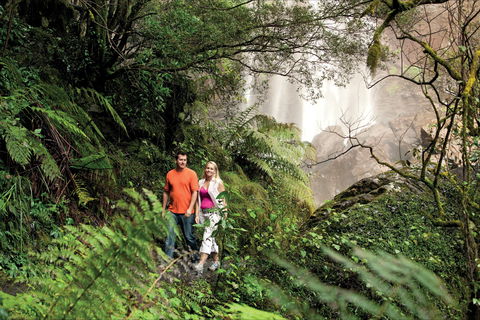 Queen Mary Falls Circuit, Main Range National Park - Accommodation Kalgoorlie 2