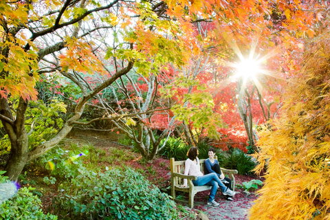 The Blue Mountains Botanic Garden, Mount Tomah - Accommodation Kalgoorlie 0