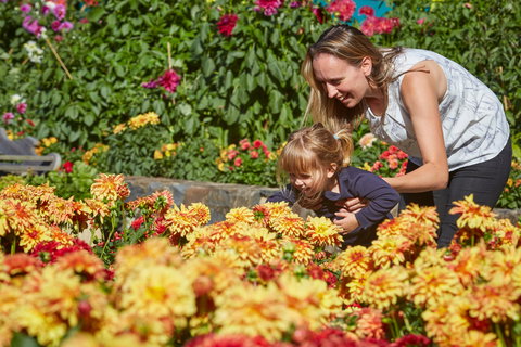 The Blue Mountains Botanic Garden, Mount Tomah - Accommodation Kalgoorlie 1