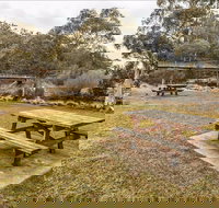 Thredbo River picnic area - Accommodation Kalgoorlie