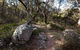 Tuross Falls Walking Track - thumb 0