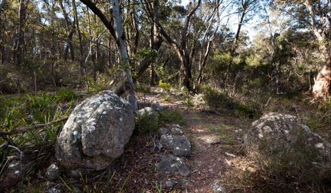 Tuross Falls Walking Track - Accommodation Kalgoorlie 0