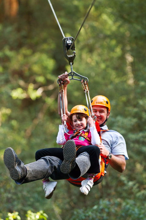 Zipline At Illawarra Fly - Accommodation Kalgoorlie 0