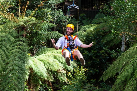Zipline At Illawarra Fly - Accommodation Kalgoorlie 2