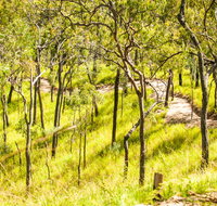 Davies Creek Mountain Bike Park - Accommodation Kalgoorlie