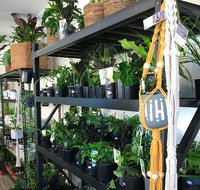 Fancy Plants - Accommodation Kalgoorlie